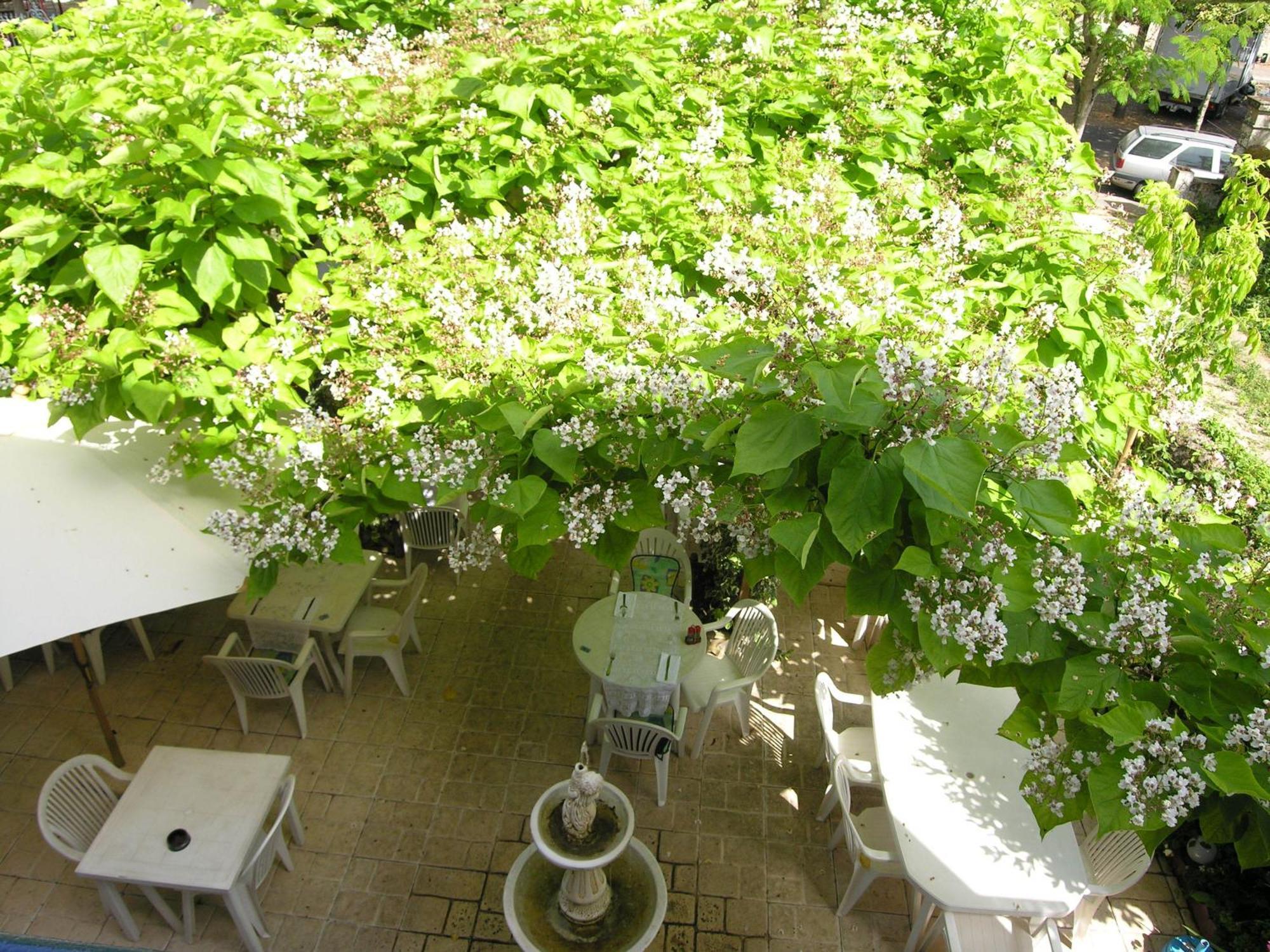Saint-Macaire Appart'Hotel Les Tilleuls מראה חיצוני תמונה